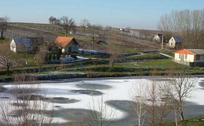 Birján