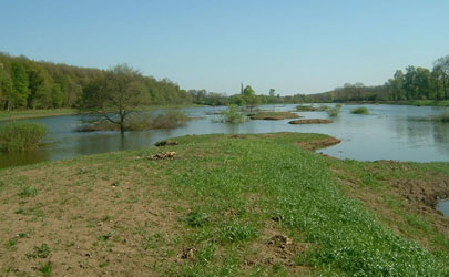 Szőkéd